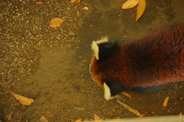 e0086860_00092850.jpg