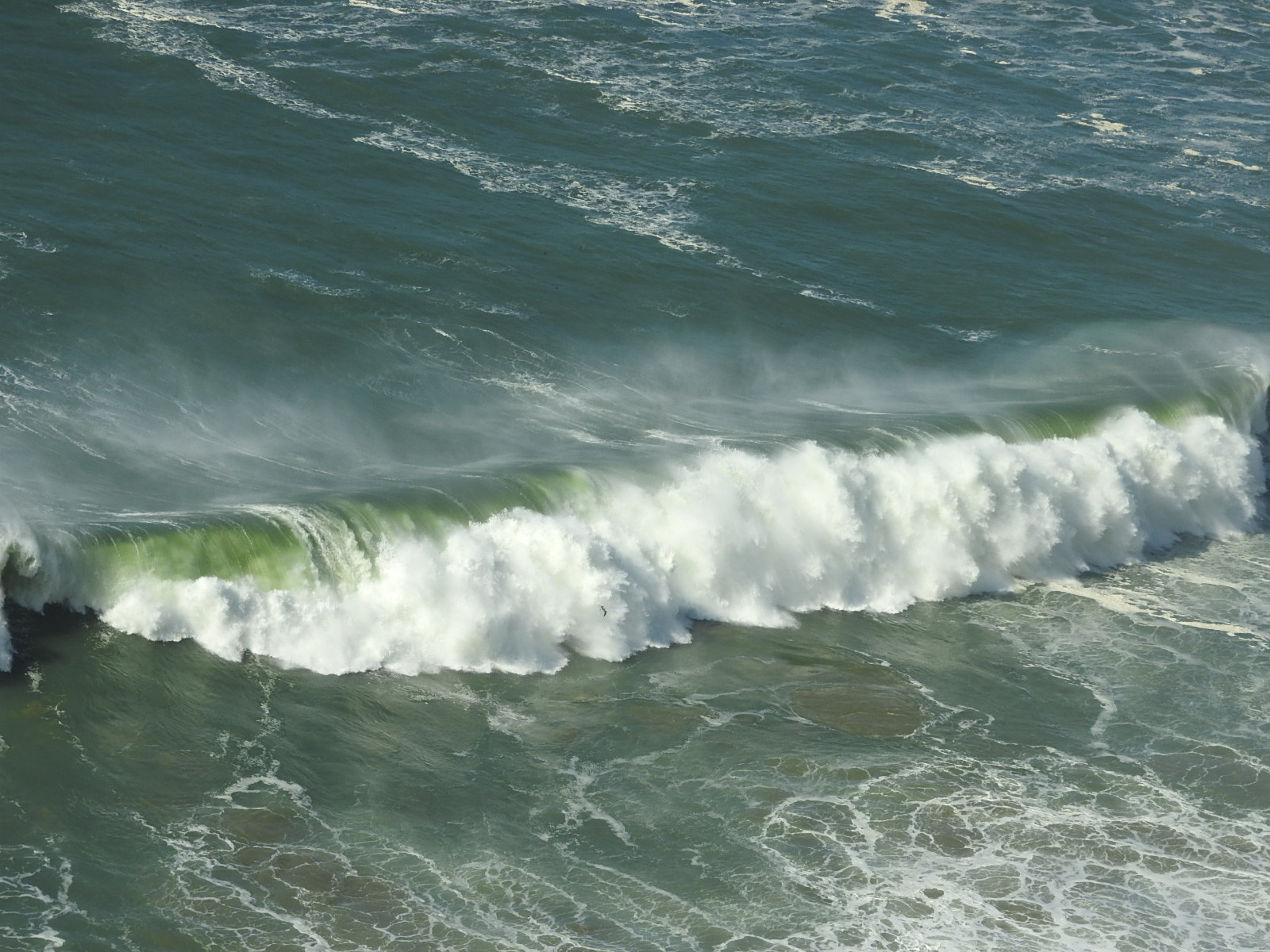 c0115366_16350100.jpg