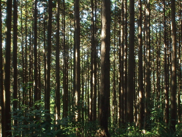 c0321967_08034957.jpg