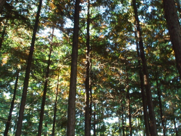 c0321967_08052284.jpg
