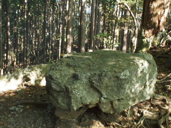 c0321967_20065922.jpg