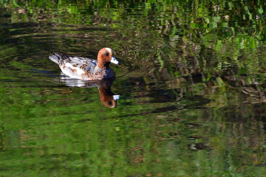 b0346568_11155340.jpg