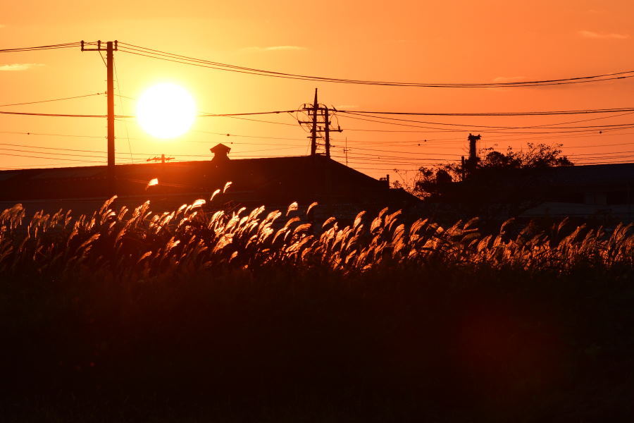 沼川散策のつづき_b0346568_13185977.jpg