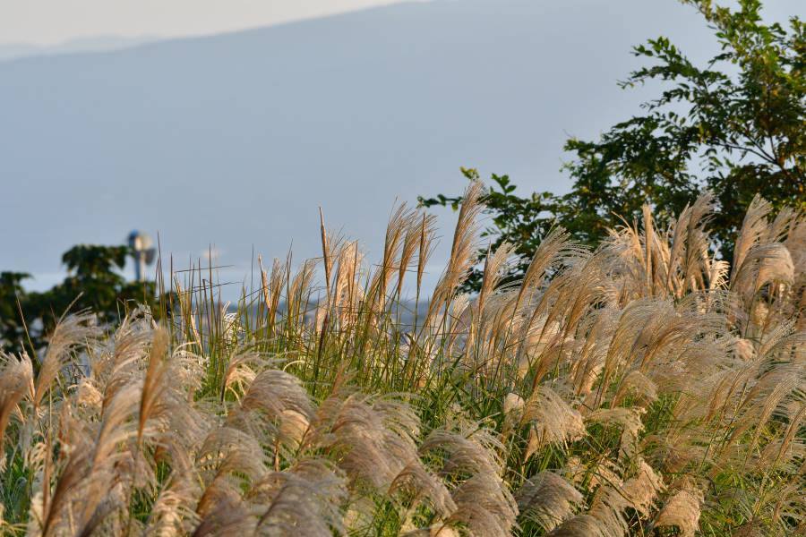 b0346568_14494220.jpg