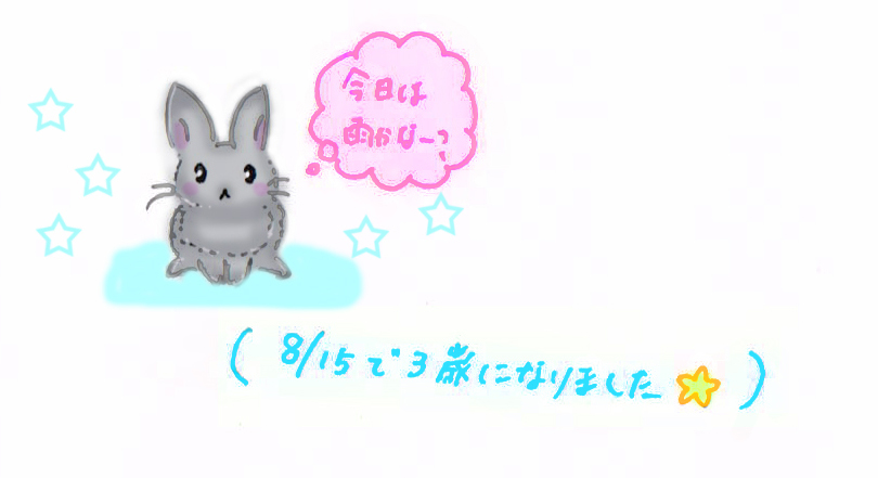 雨が降ると働き者になるヒナミチャン_d0096268_18565225.jpg