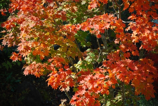 a0344771_21002765.jpg