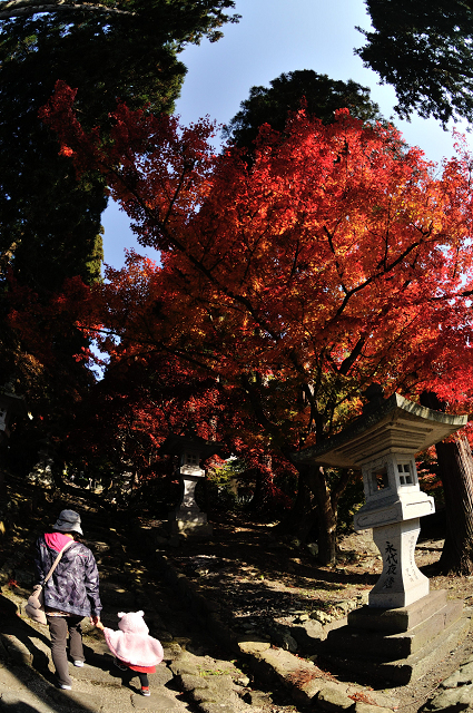 2016 清水寺（せいすいじ）紅葉　その２_c0197772_22581941.jpg