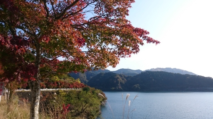 丹沢湖紅葉練習ラン_f0157572_08431034.jpg