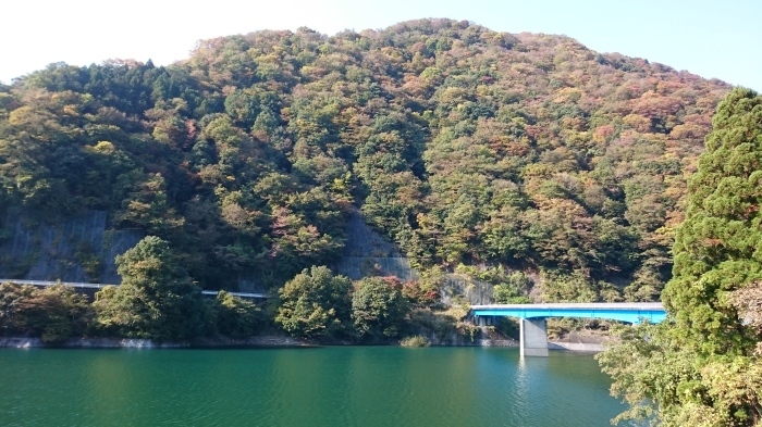 丹沢湖紅葉練習ラン_f0157572_08455729.jpg