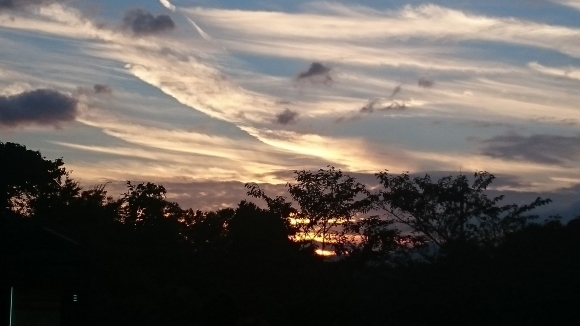b0242873_01205328.jpg