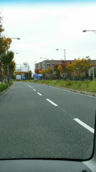 a0099474_23384536.jpg