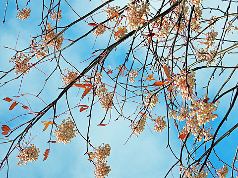 f0083977_23584022.jpg