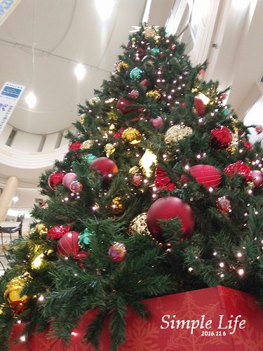 b0194979_2113068.jpg
