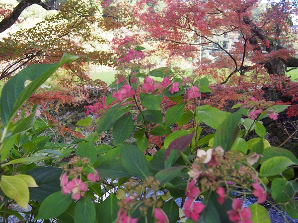 f0101679_22103169.jpg
