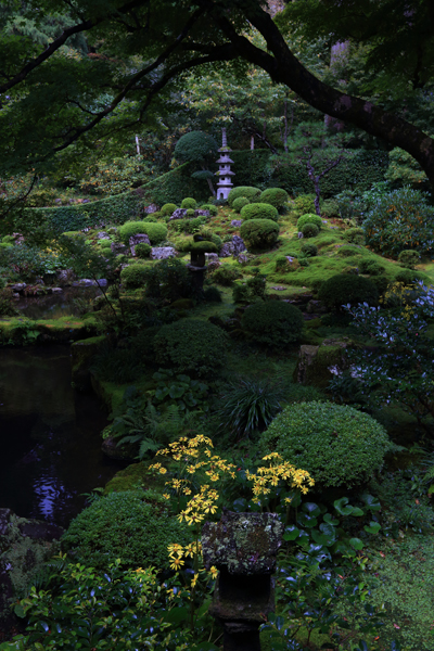 三千院_e0051888_0512999.jpg