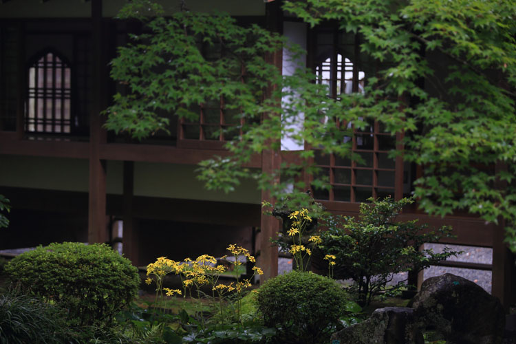 三千院_e0051888_0514721.jpg