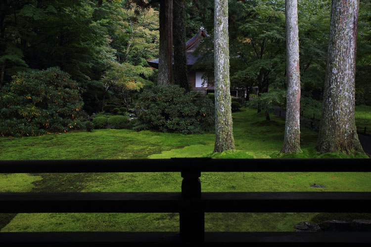 三千院_e0051888_051559.jpg