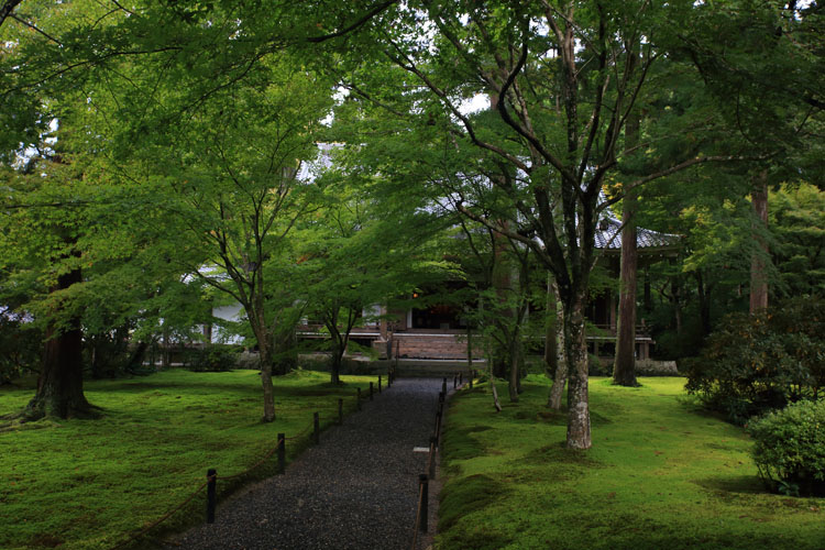 三千院_e0051888_0522519.jpg