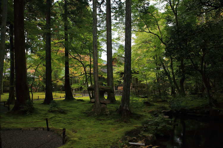 三千院_e0051888_053317.jpg