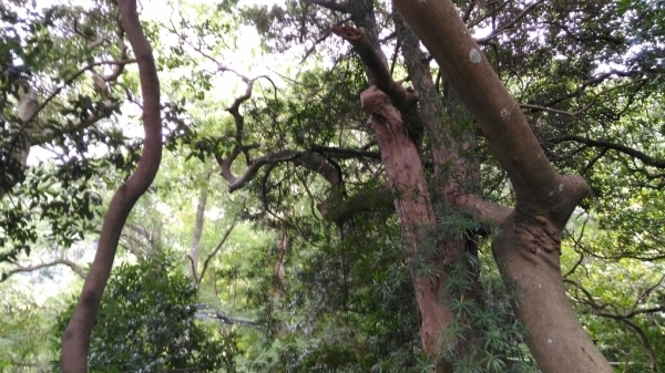 c0102793_09145014.jpg