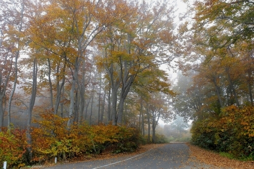 e0304001_19514251.jpg