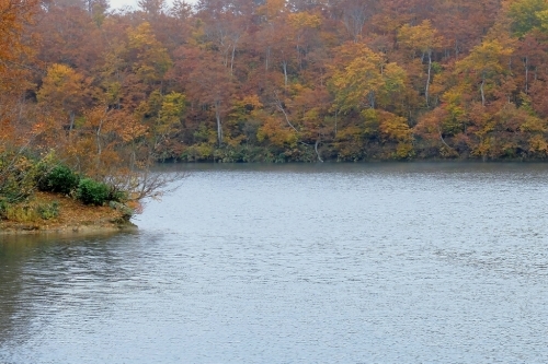 e0304001_19515525.jpg