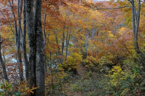e0304001_19515933.jpg