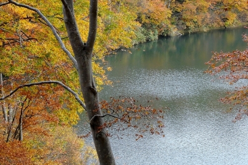 e0304001_19520376.jpg