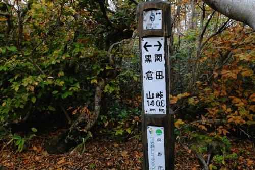 e0304001_19520827.jpg