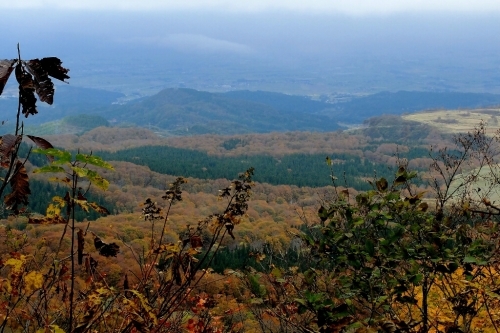 e0304001_19521649.jpg