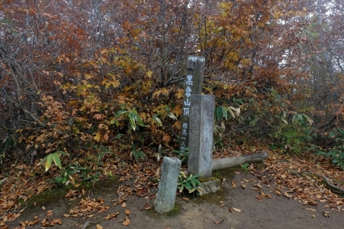 e0304001_19593996.jpg