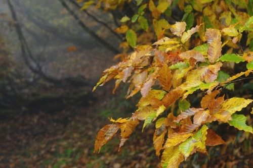 e0304001_20000051.jpg