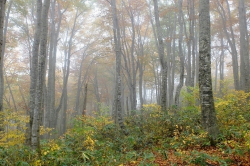 e0304001_20143318.jpg