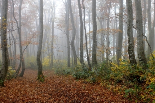 e0304001_20143606.jpg