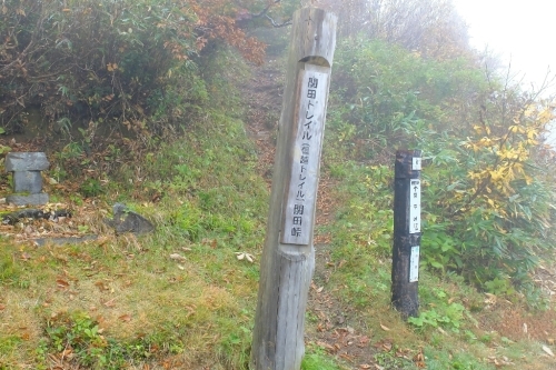e0304001_20144033.jpg