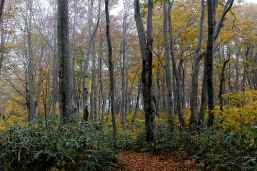 e0304001_20144548.jpg