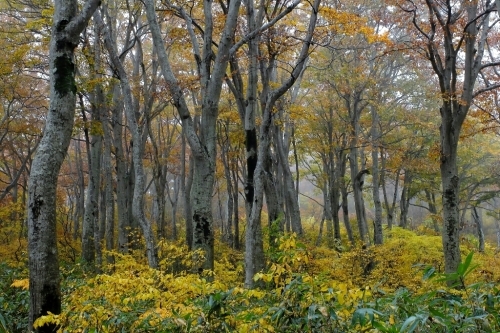 e0304001_20144813.jpg