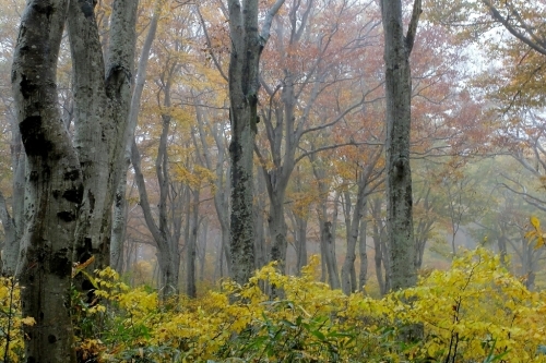 e0304001_20145156.jpg