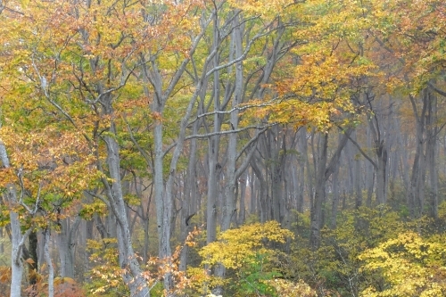 e0304001_20145905.jpg