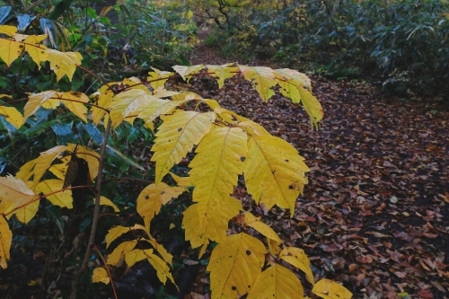 e0304001_20150322.jpg