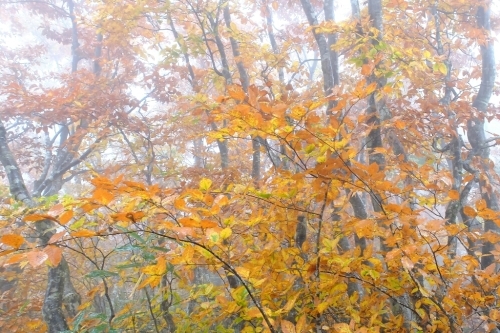 e0304001_22030025.jpg