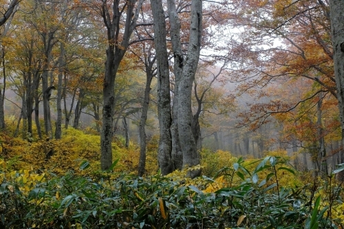 e0304001_22030307.jpg