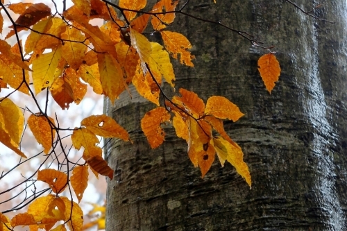 e0304001_22031465.jpg