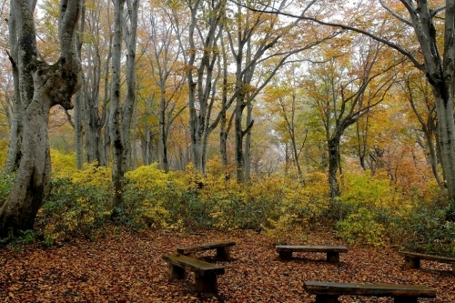 e0304001_22032012.jpg