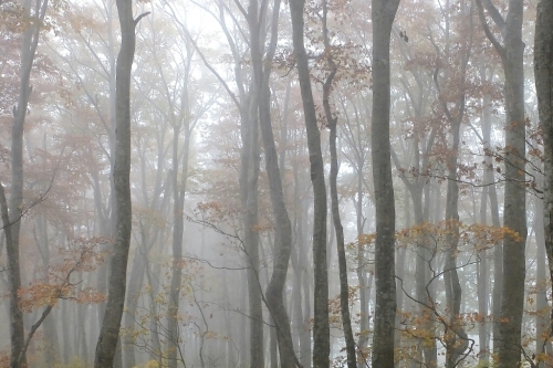 e0304001_22032166.jpg