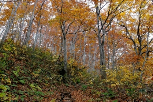 e0304001_22032346.jpg