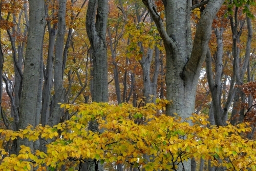 e0304001_22045014.jpg