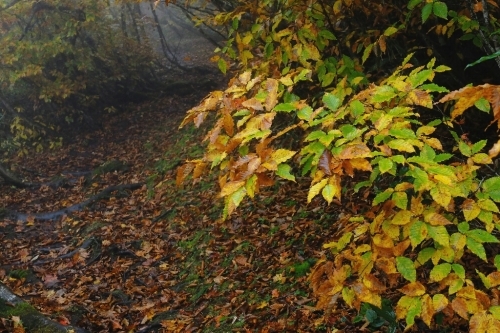e0304001_22134966.jpg