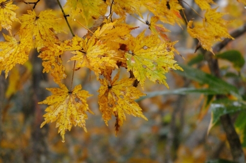 e0304001_22160814.jpg