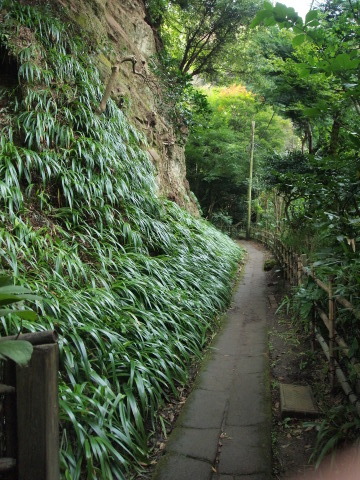 秋のお出かけ･･････鎌倉１_b0331802_21531503.jpg